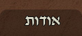 אודות תודן